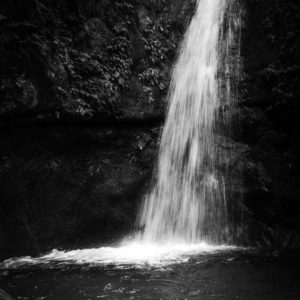 轟音の中の静けさ / Silence amidst the roar＜L＞