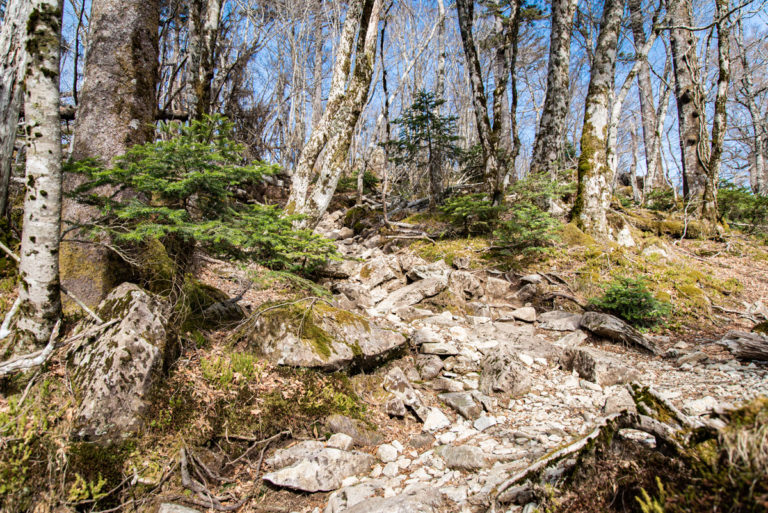 石を踏みしめて登る登山道 / Climbing trails over stones