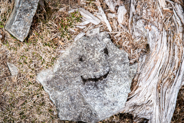 笑顔の石 / Smile Stone