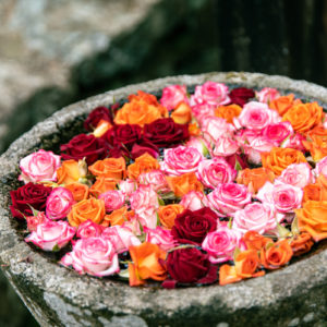 バラの花手水 / Rose flower hand water＜L＞