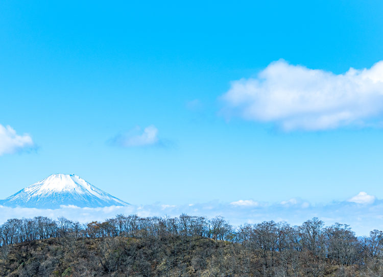 塔ノ岳に向かう途中で眺める富士山 / Fuji on the way to Mt Tonodake
