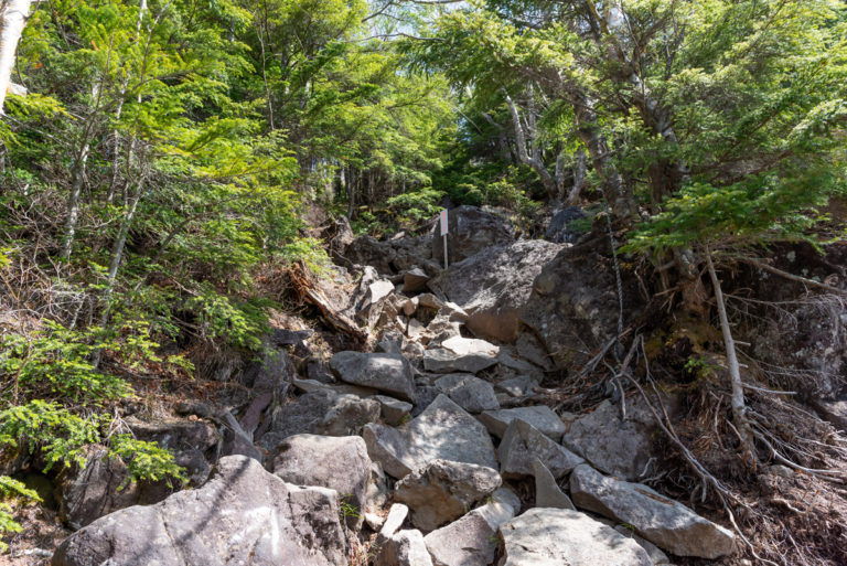 男体山の登山道の一部 / Part of the trail on Mt Nantaisan
