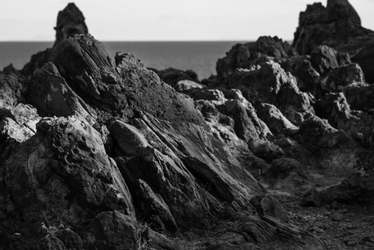 城ヶ崎海岸の岩 / rocks on the shore