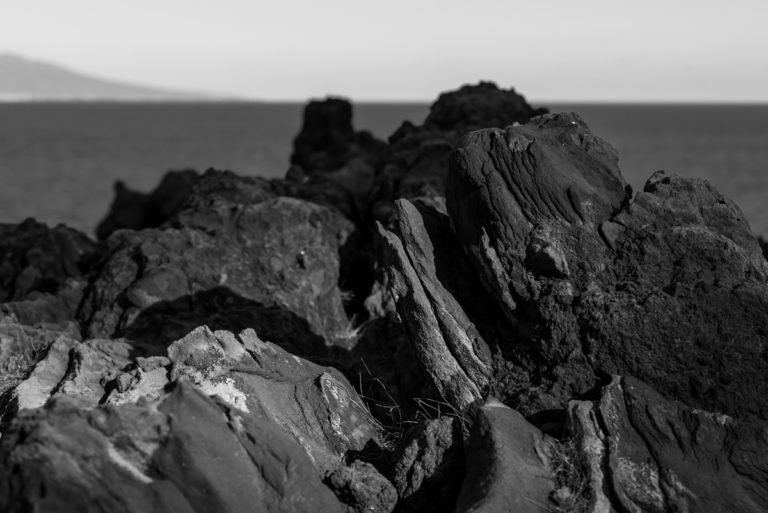 城ヶ崎海岸の岩 / Rocks of Jogasaki Coast