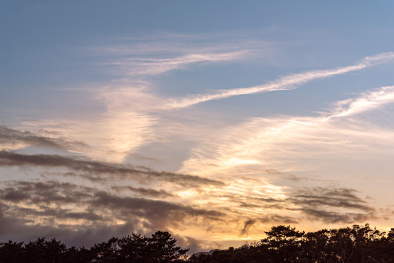 優しい夕暮れ / Gentle Dusk