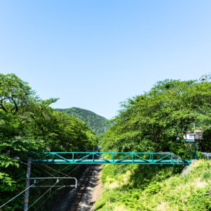 線路と緑と空 / Railroad tracks, greenery and sky＜L＞