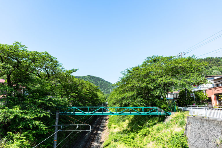 線路と緑と空 / Railroad tracks, greenery and sky