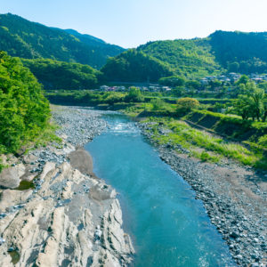 酒匂川を眺める / View of the Sakawa River＜L＞