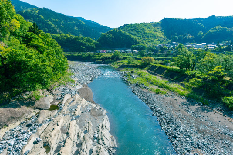 酒匂川を眺める / View of the Sakawa River