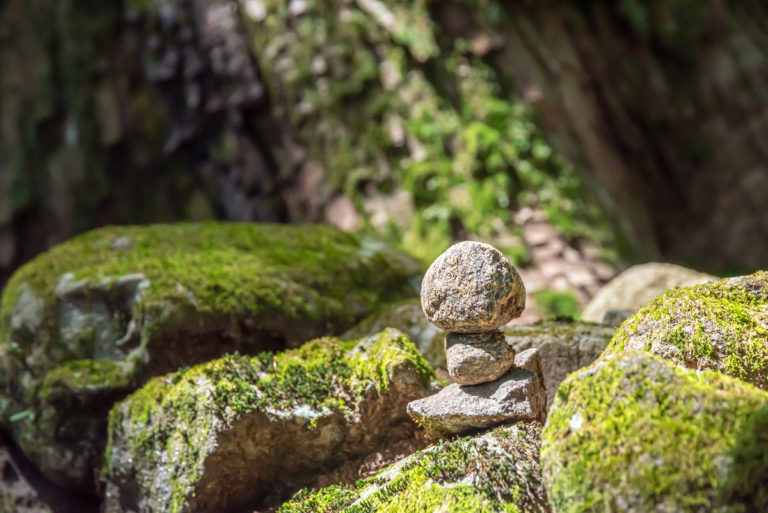 苔と石 / green moss on stone