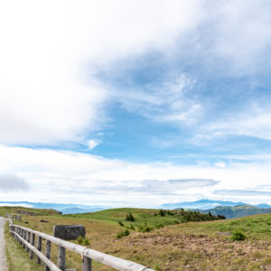 美ヶ原高原を歩く / Walking in the Utsukushigahara Plateau＜L＞