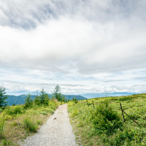 雲と小道 / Clouds and paths＜L＞