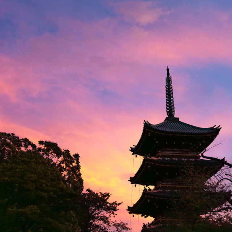 朝焼けと五重塔 / Morning glow and five-story pagoda