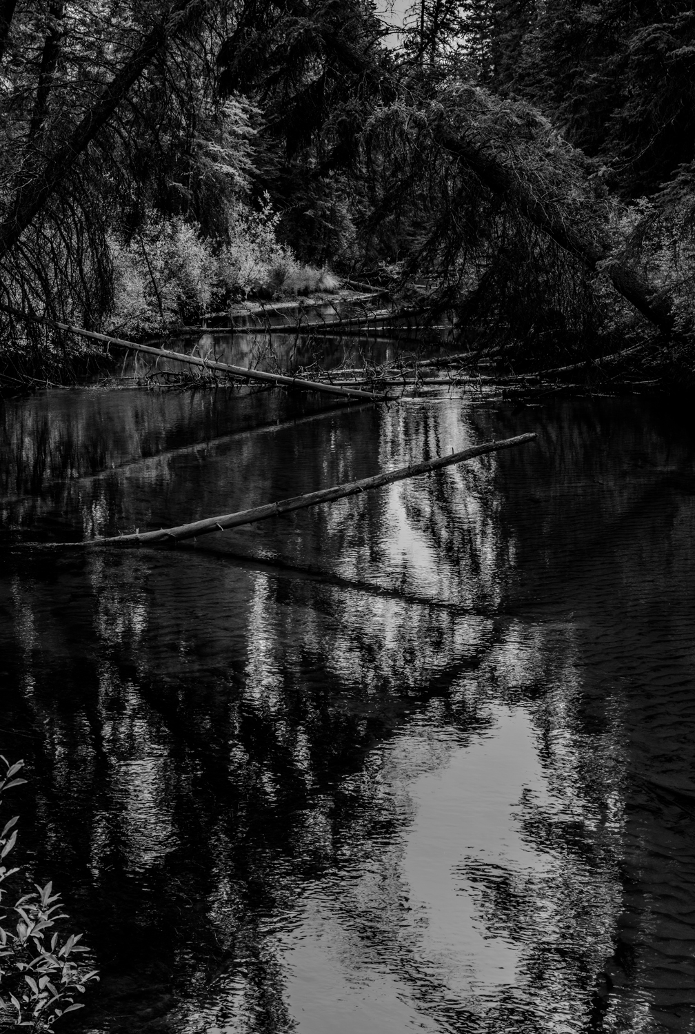 初秋のカナダ・バンフ