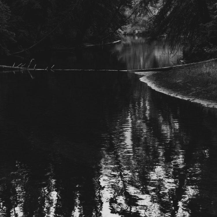 バンフ国立公園フェンランド・トレイルの小川と水面に揺らぐ深い森の反射