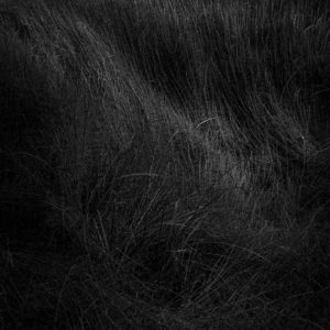 銀色の流線＜L＞