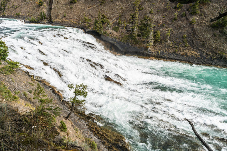 カナダ・バンフ国立公園のターコイズブルーの激しく流れるボウ滝