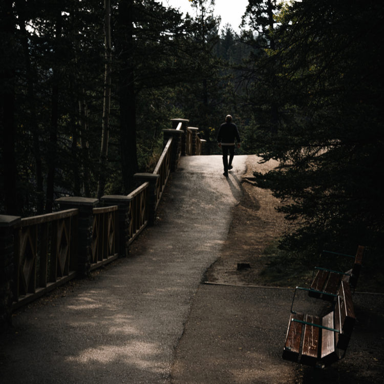 カナダ・バンフ国立公園 ボウ滝へ続く森林の散策路を歩く男性の後ろ姿