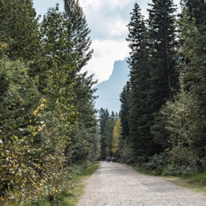 カナダ・キャンモア:ロッキー山脈へ続くヒガシカワフレンドシップトレイルの小道<L>