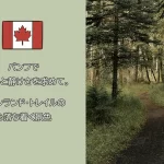 バンフで癒やしと静けさを求めて。フェンランド・トレイルの心落ち着く景色